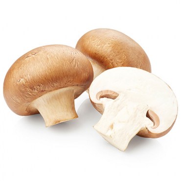 champignon